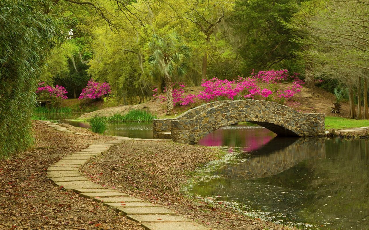 Louisiana: Visit the Historic and Lush Avery Island