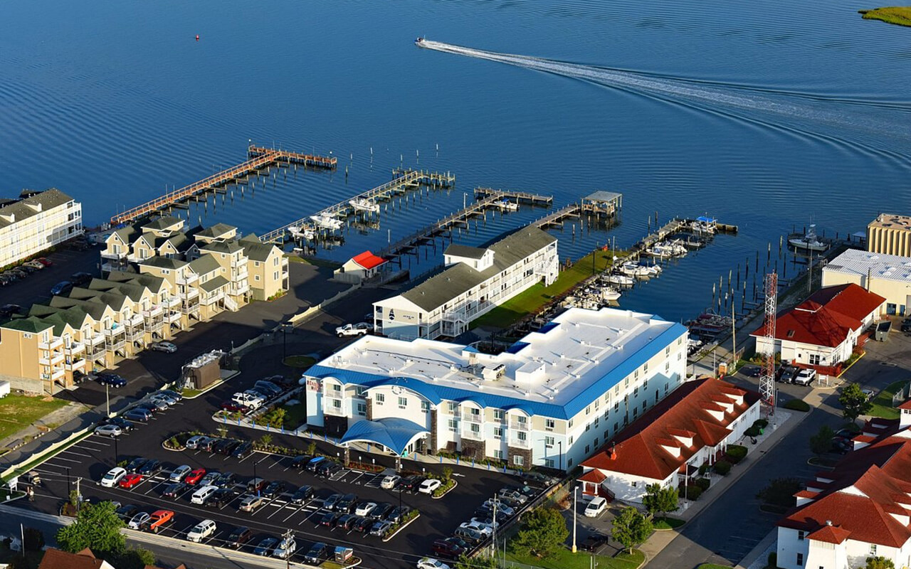 Virginia: Encounter Wild Ponies on Chincoteague Island
