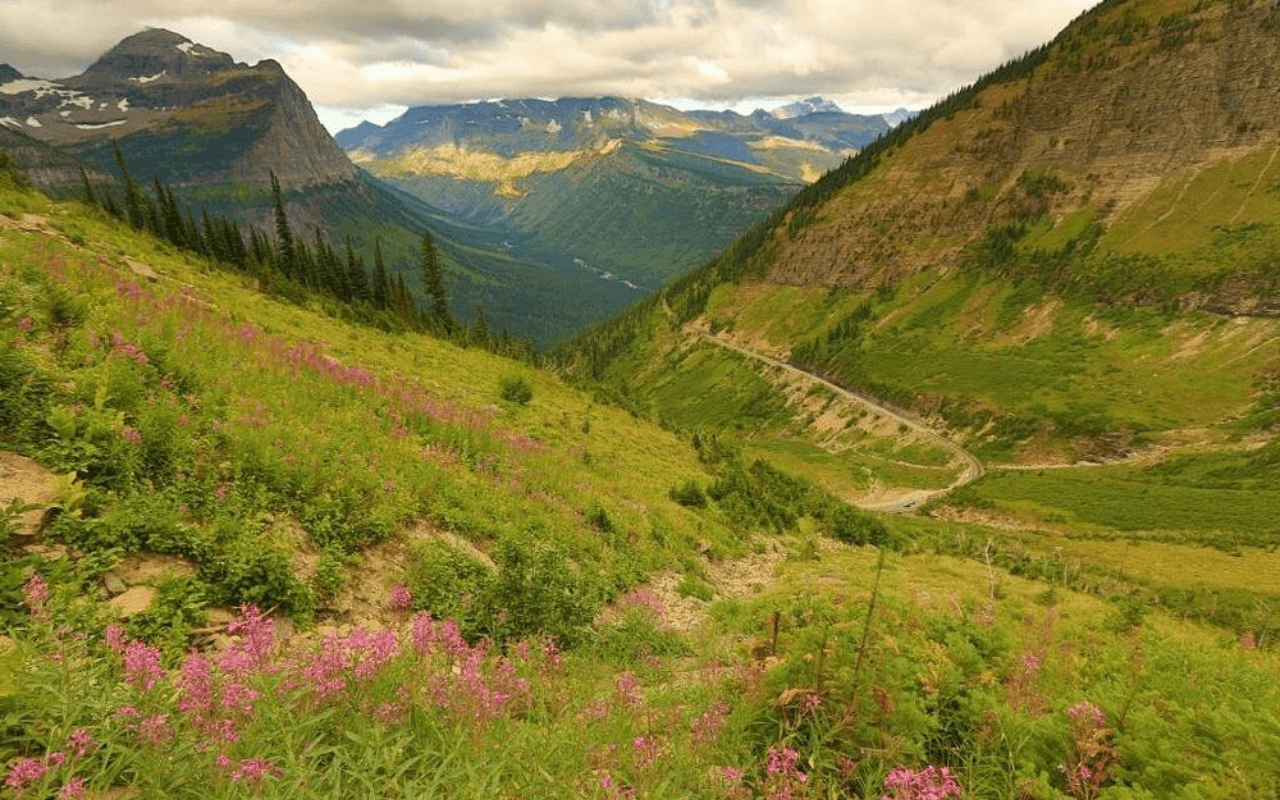 Embark on a Scenic Alpine Hike