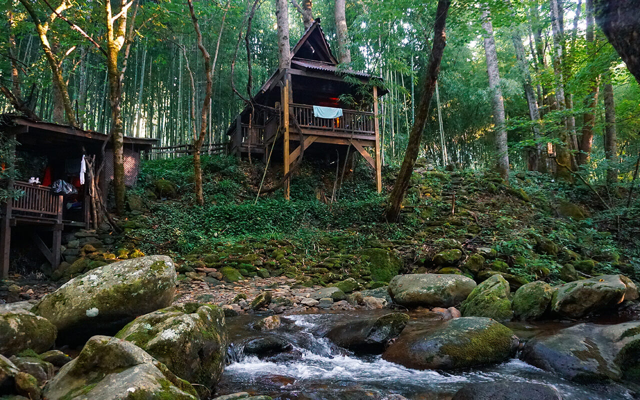 Check Out New Listings for Introductory Deals