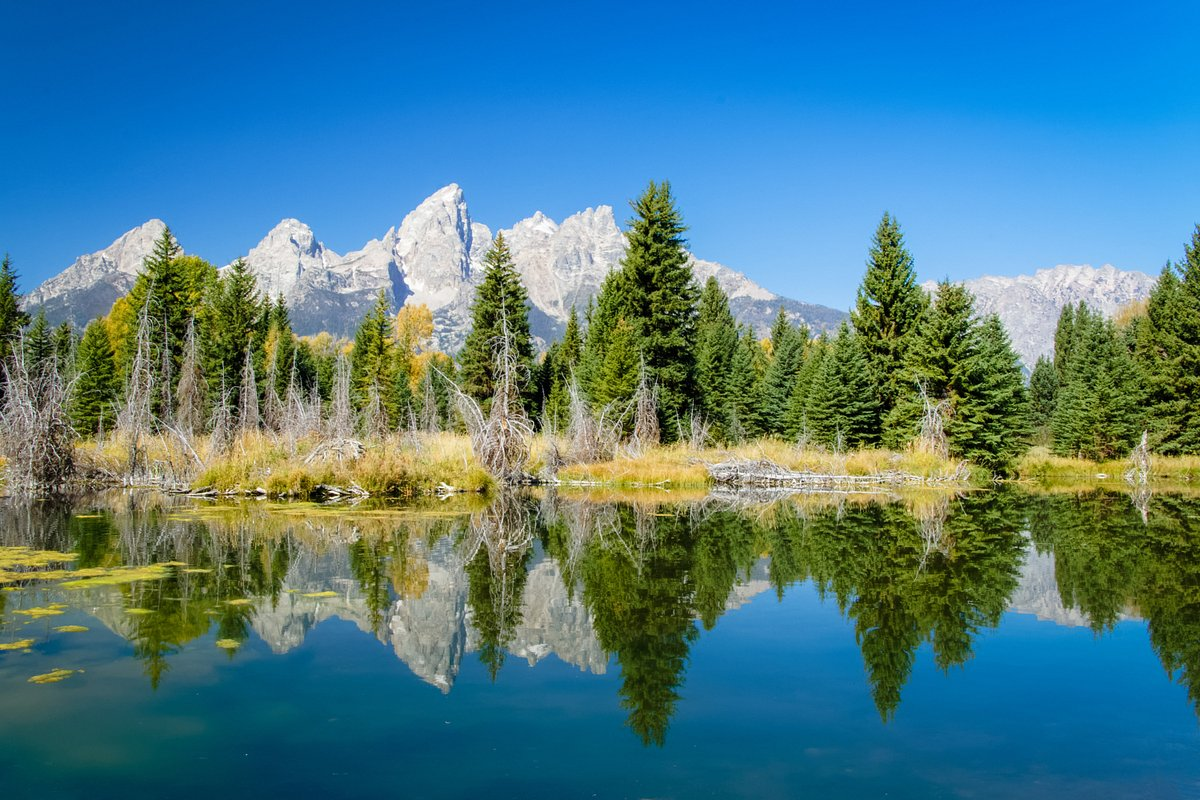 Enjoy Breathtaking Free Scenic Drives in Grand Teton National Park, Wyoming