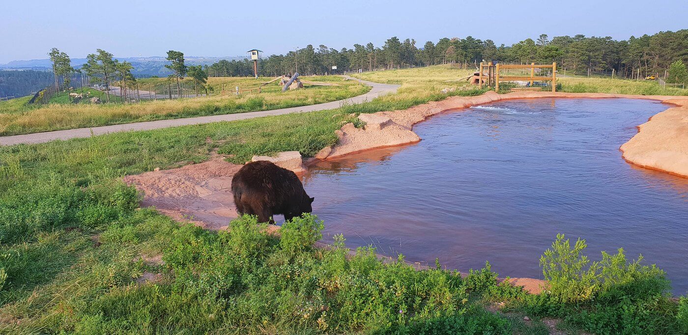 Rapid City, South Dakota: Culture and Nature Combined