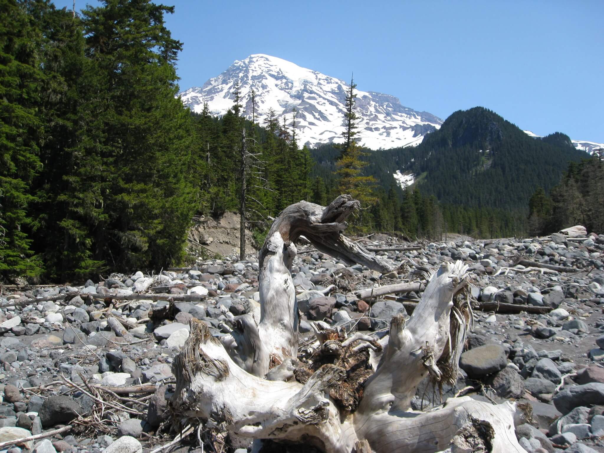 Summerland Trail’s Scenic Route in Mount Rainier National Park