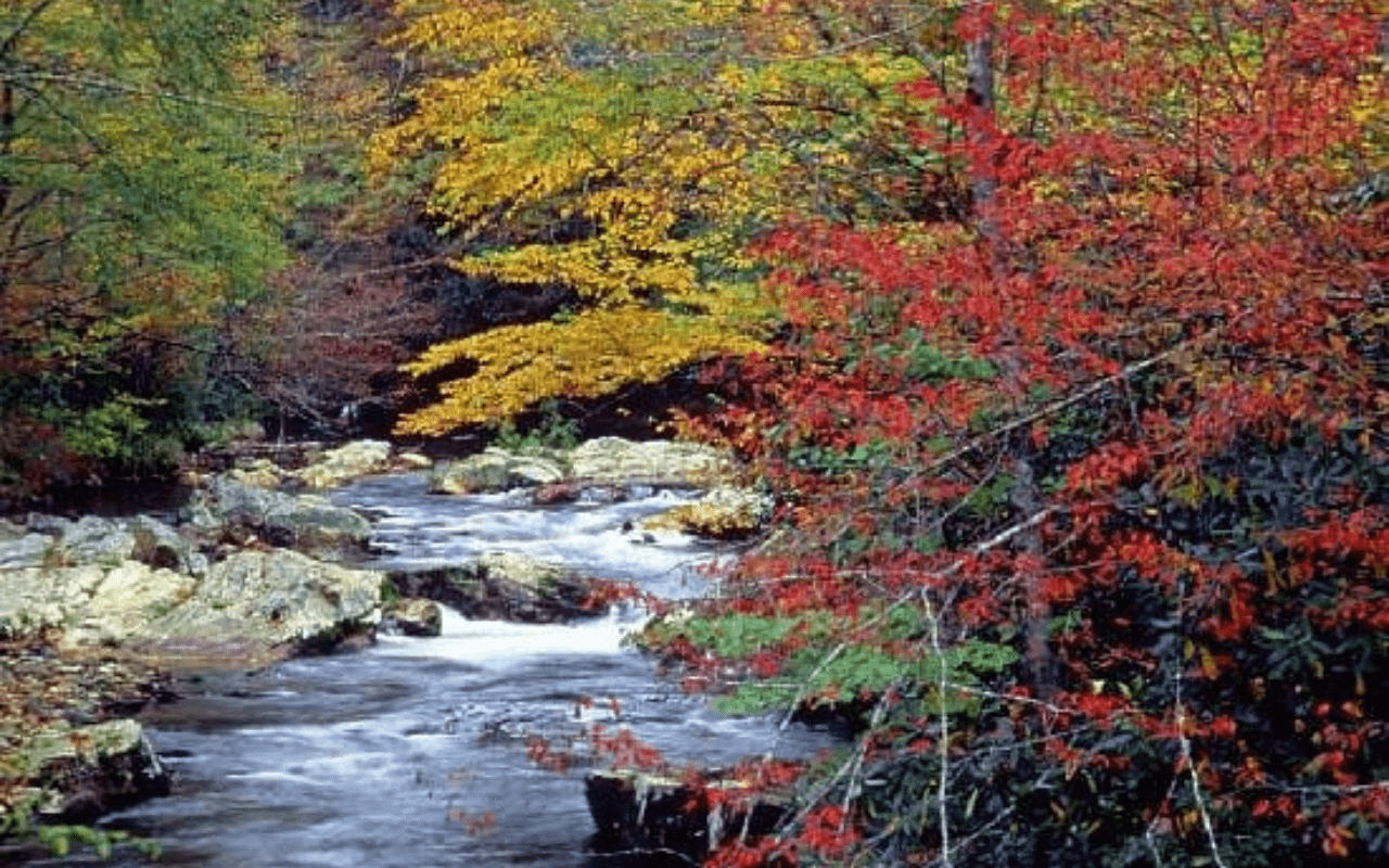 Tennessee’s Cades Cove: A Secluded Mountain Valley
