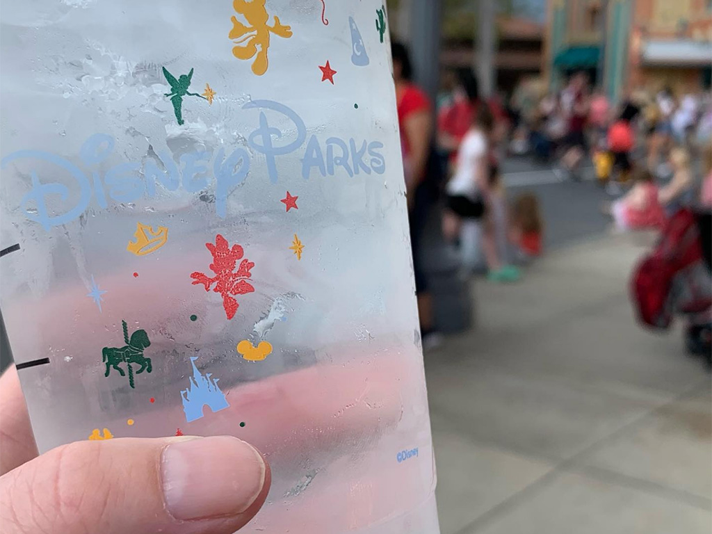 Skip Buying Bottled Water