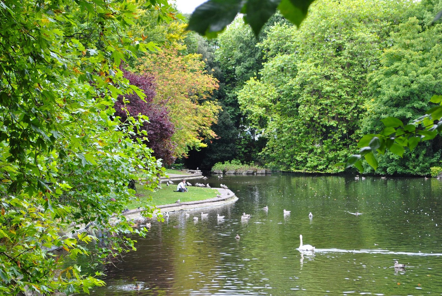 Enjoy St. Stephen’s Green Through the Changing Seasons