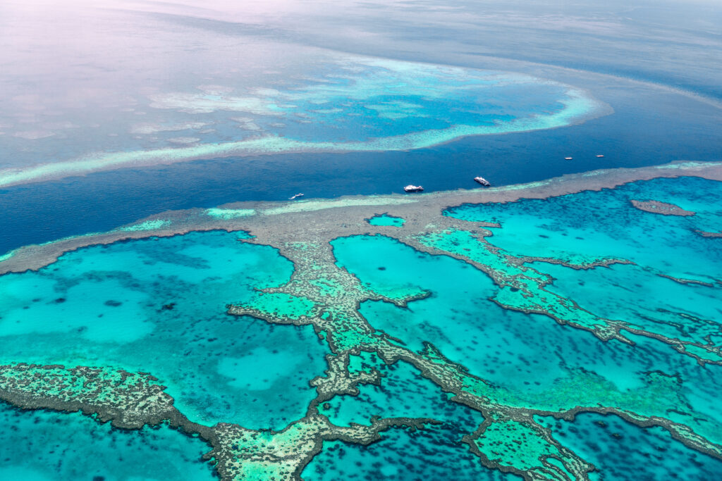 Australia’s Great Barrier Reef: A Coral Wonderland