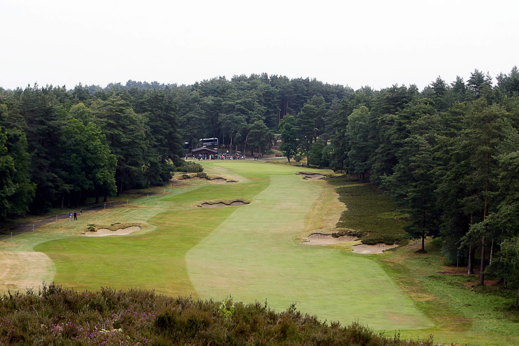 Sunningdale’s Old Course: A Heathland Classic in England