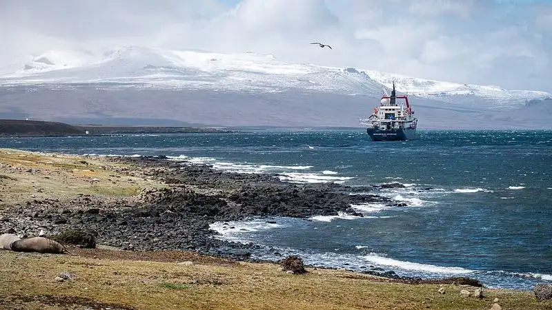 Life on the Kerguelen Islands, French Southern Territories