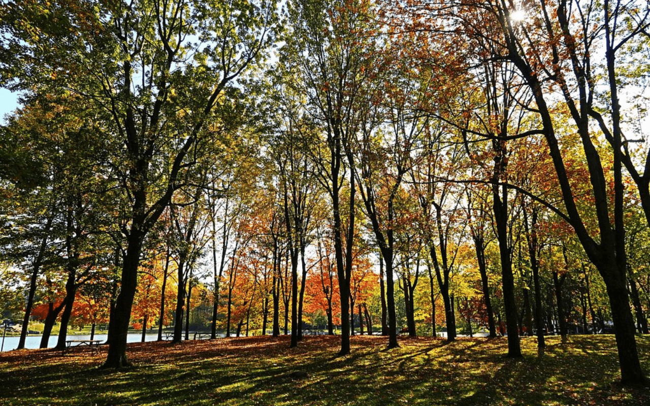 Mount Royal Park, Montreal