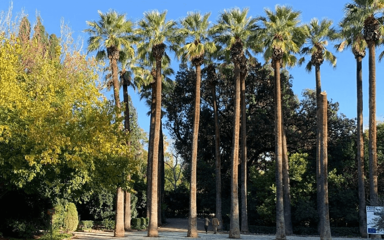 Athens National Garden