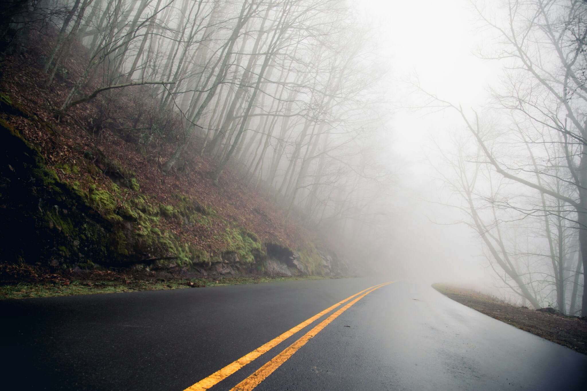 Winding Through the Blue Ridge Parkway