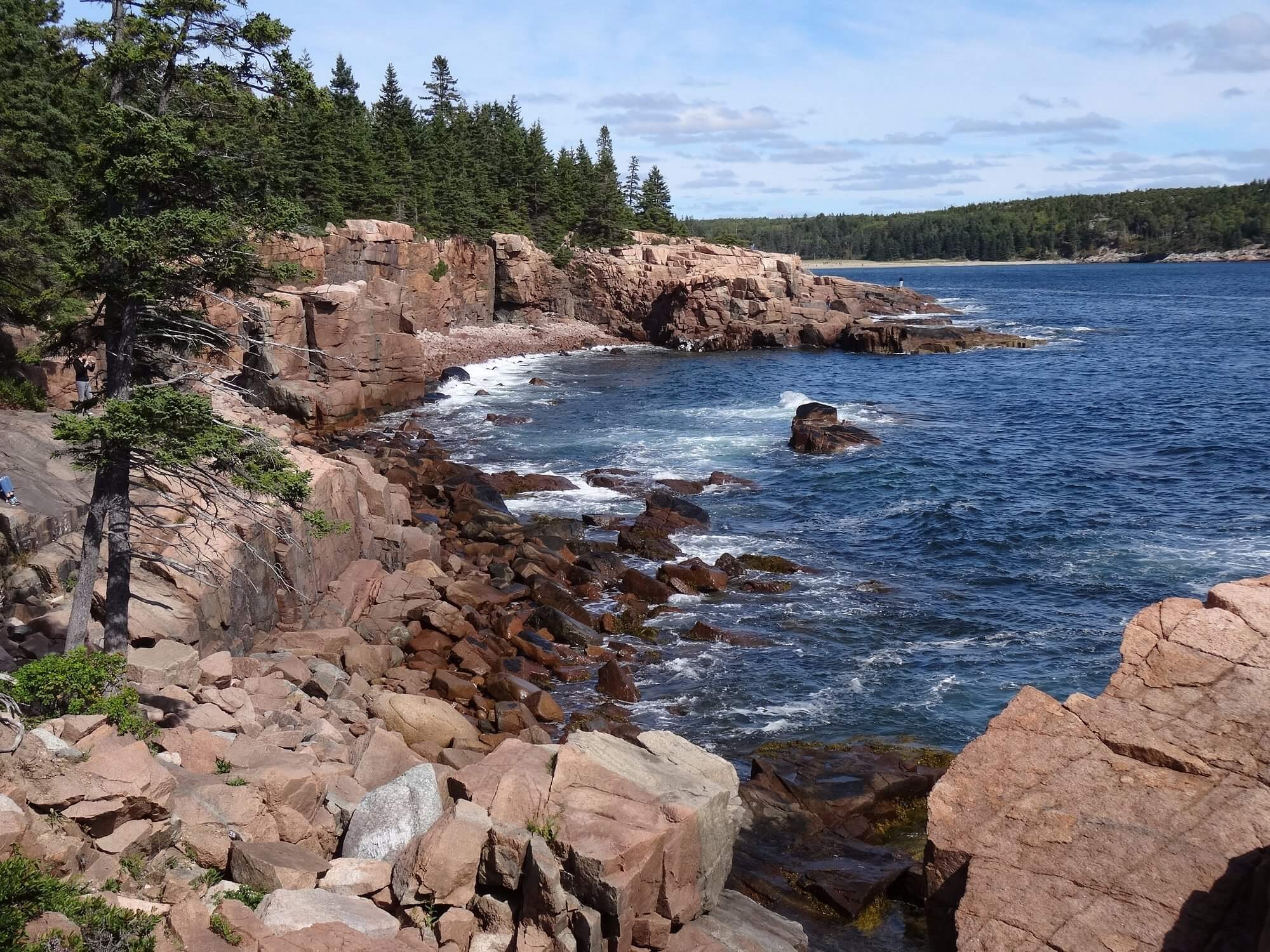 Ocean Path Trail: Easy Coastal Hike in Acadia National Park, Maine
