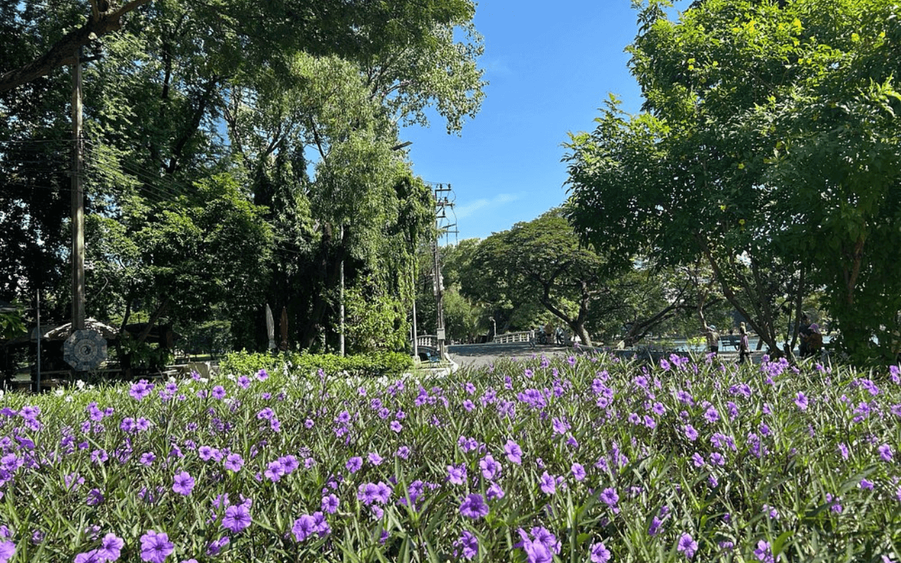 Lumpini Park in Bangkok