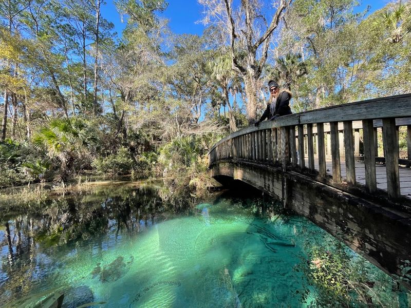 Juniper Springs Trail in Ocala National Forest