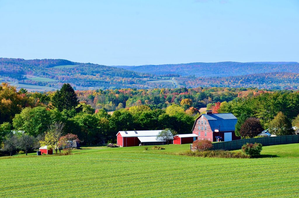 Rustic Elegance at Blue Hills Farm in Narrowsburg