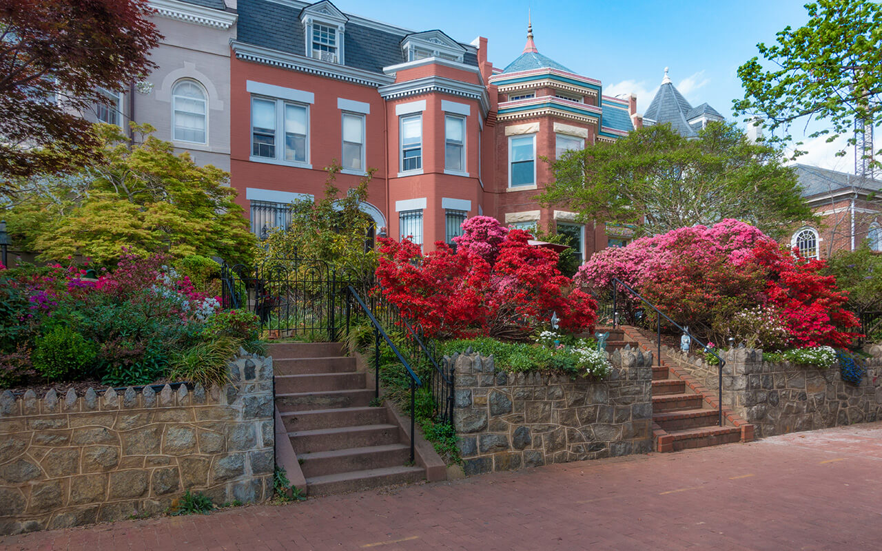 Washington, D.C.: A Walk-Friendly Capital with Easy Transit