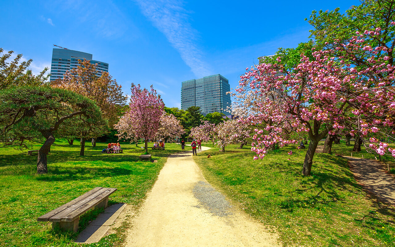 Hamarikyu Gardens, Tokyo