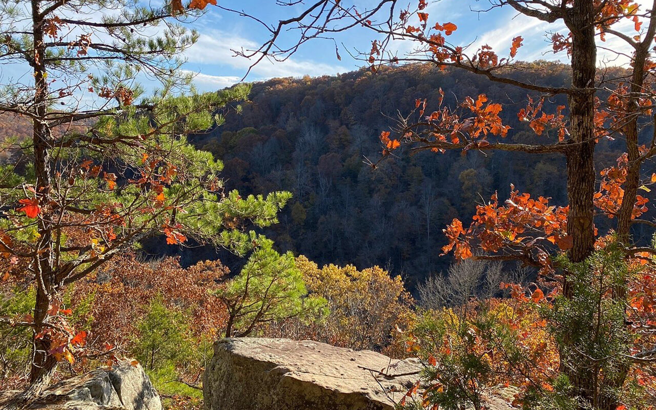 Arkansas: Hike to the Scenic Viewpoint at Hawksbill Crag