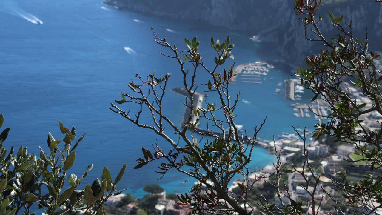 Find Romance and Culture in Ravello on Italy’s Amalfi Coast