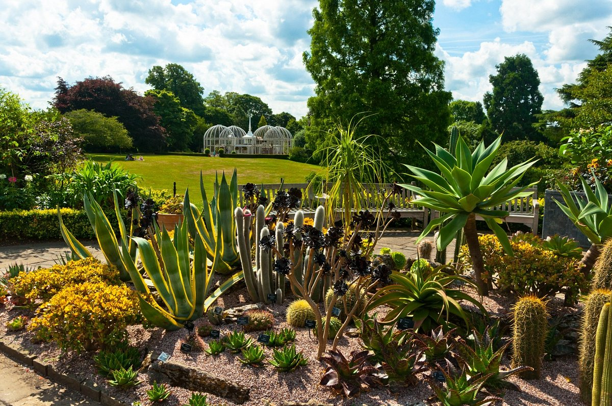 Explore the Lush Birmingham Botanical Gardens in Alabama