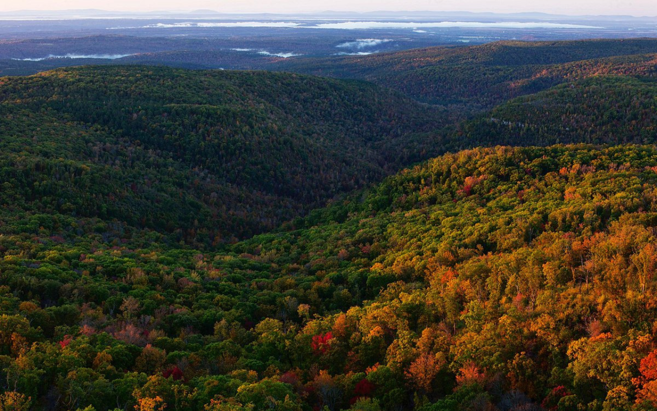 Fayetteville, Arkansas: Arts, Markets, and Friendly Faces